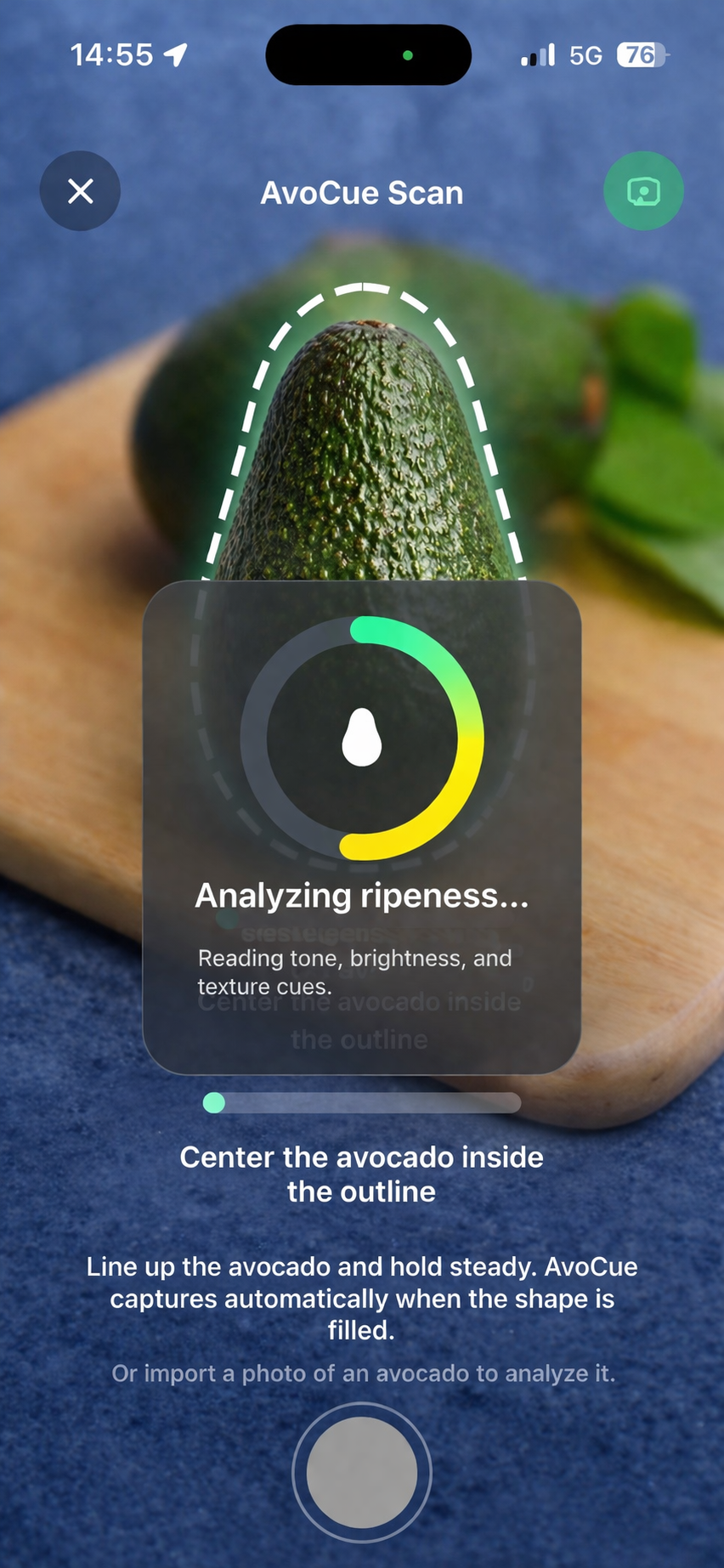 Camera analysis screen